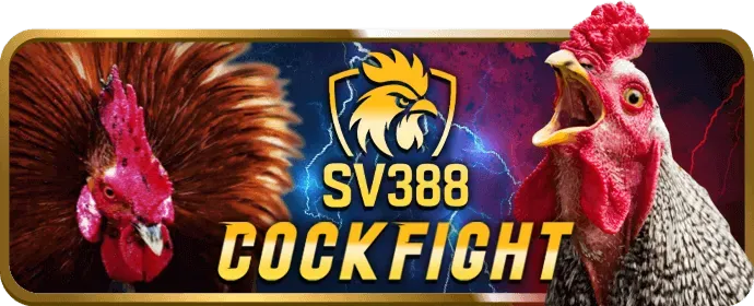 Slot Games tại TK88 Casino